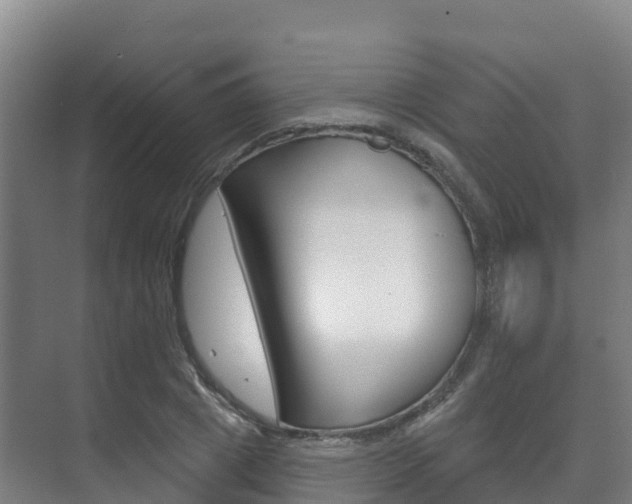 X0000073710833200608031038