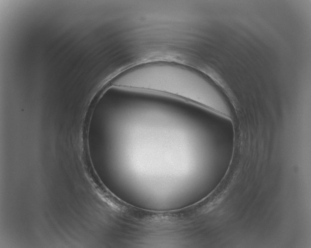 X0000073710834200608031038