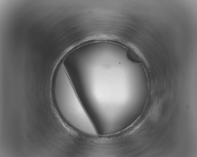 X0000073710837200608031038