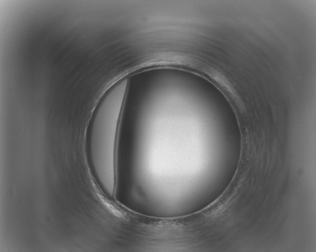 X0000073710842200608031038