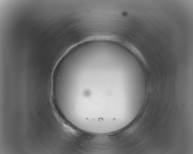 X0000073710844200608031038