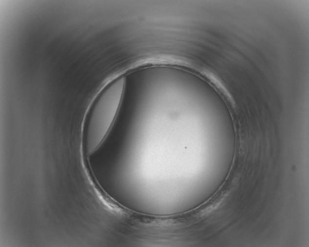 X0000073710845200608031038