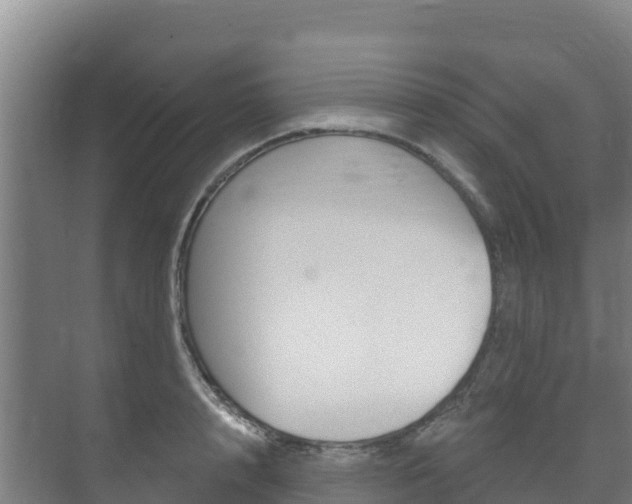 X0000073710848200608031038