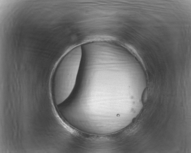 X0000073710851200608031038