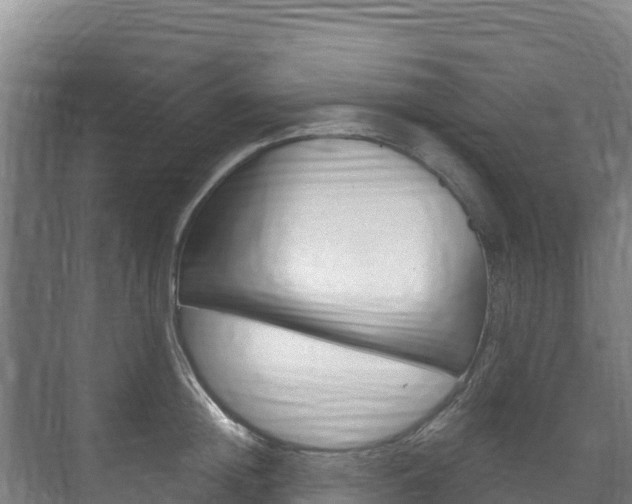 X0000073710852200608031038