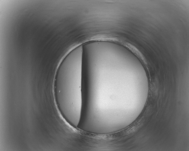 X0000073710855200608031038