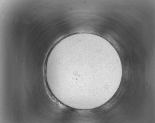 X0000073710856200608031038