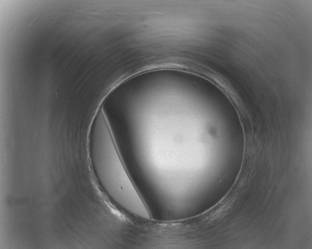 X0000073710858200608031038