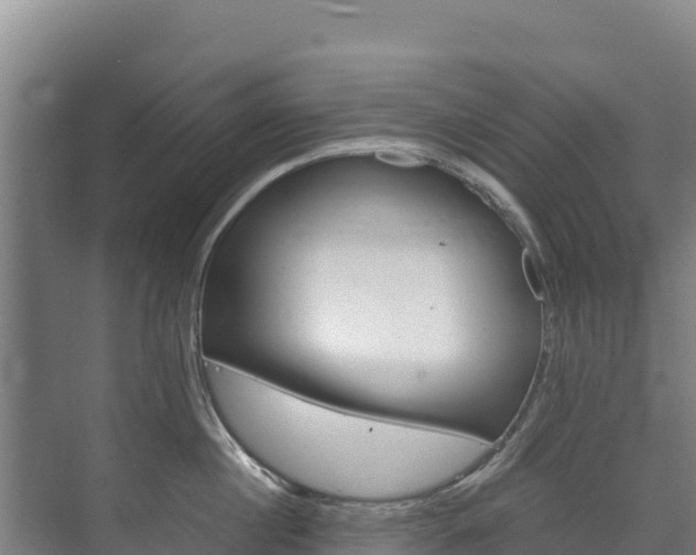 X0000073710860200608031039