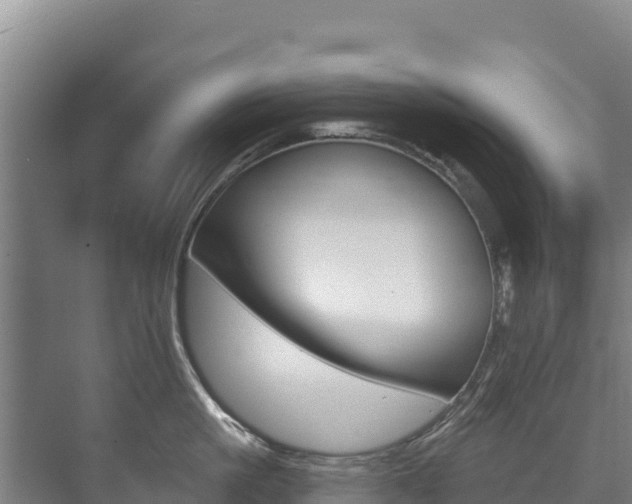 X0000073710861200608031039