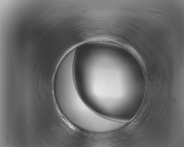 X0000073710862200608031039