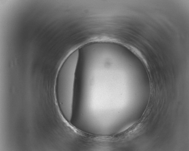 X0000073710863200608031039