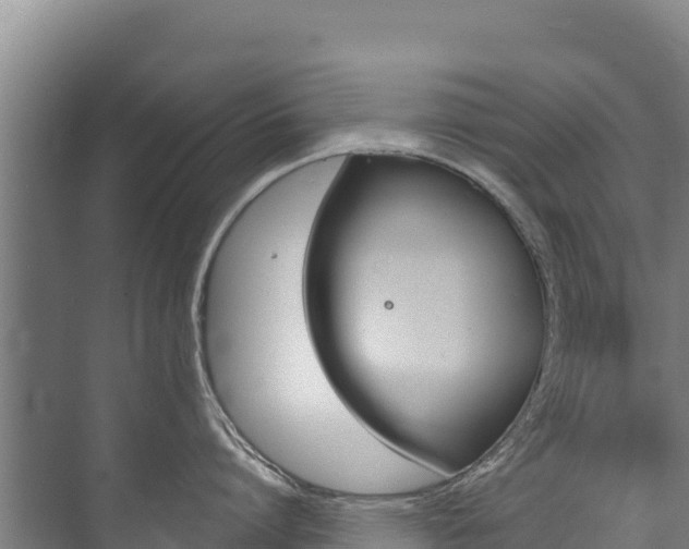 X0000073710864200608031039