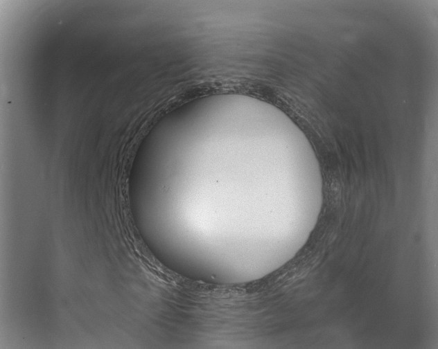 X0000073710865200608031038