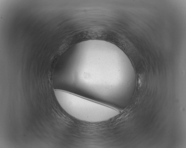 X0000073710867200608031038