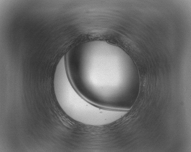 X0000073710868200608031038