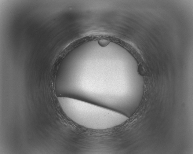 X0000073710871200608031038