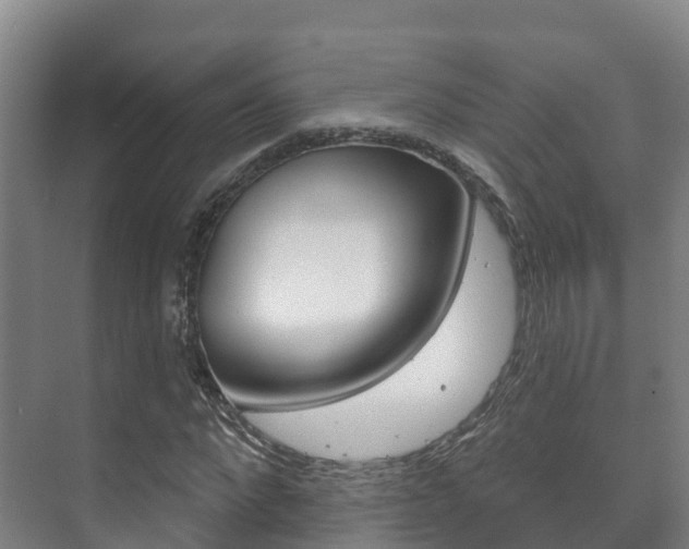 X0000073710872200608031038