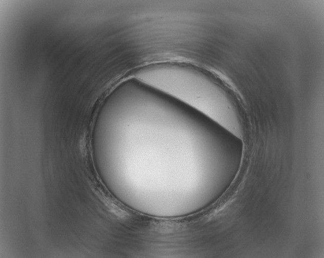 X0000073710873200608031038