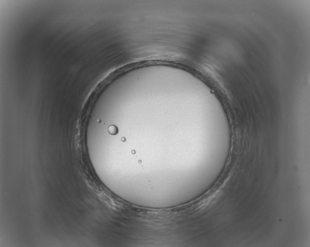 X0000073710875200608031038