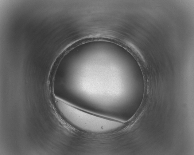 X0000073710876200608031038