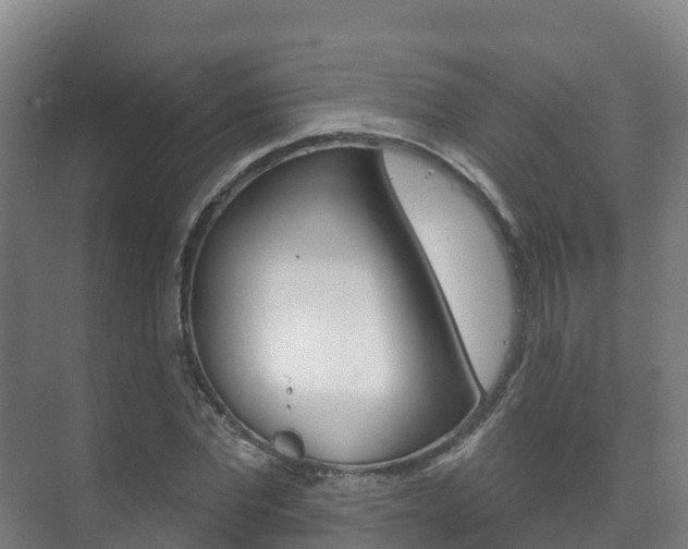 X0000073710877200608031038