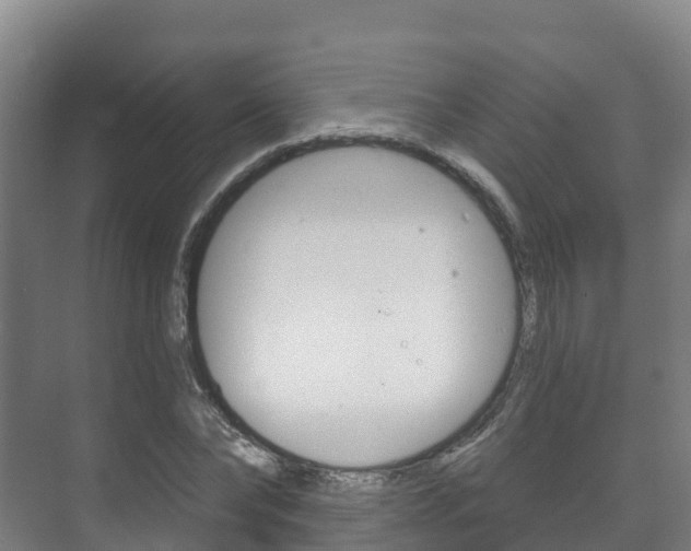 X0000073710878200608031038