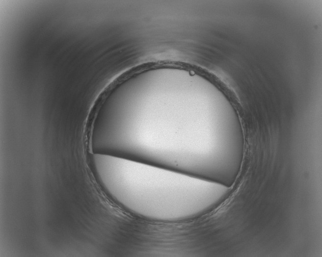 X0000073710879200608031038