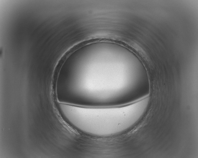 X0000073710880200608031038