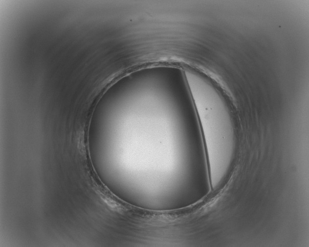 X0000073710881200608031038