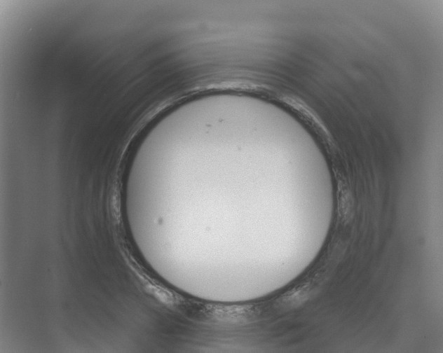 X0000073710882200608031038