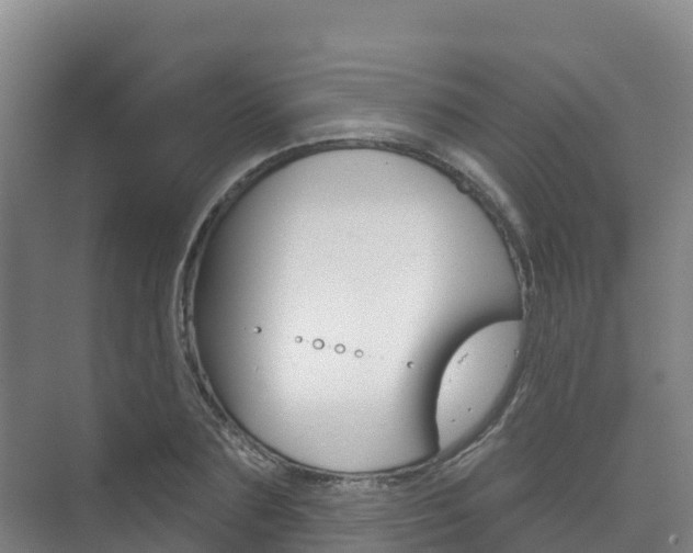 X0000073710883200608031037