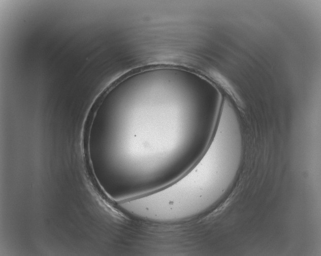 X0000073710884200608031037