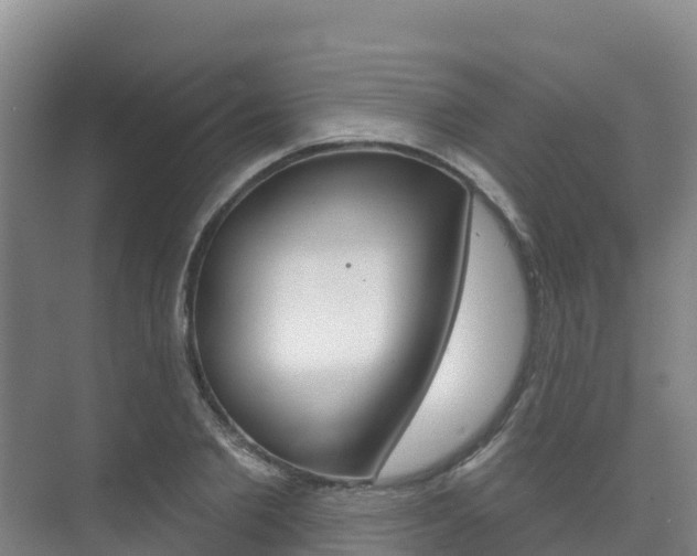 X0000073710885200608031037