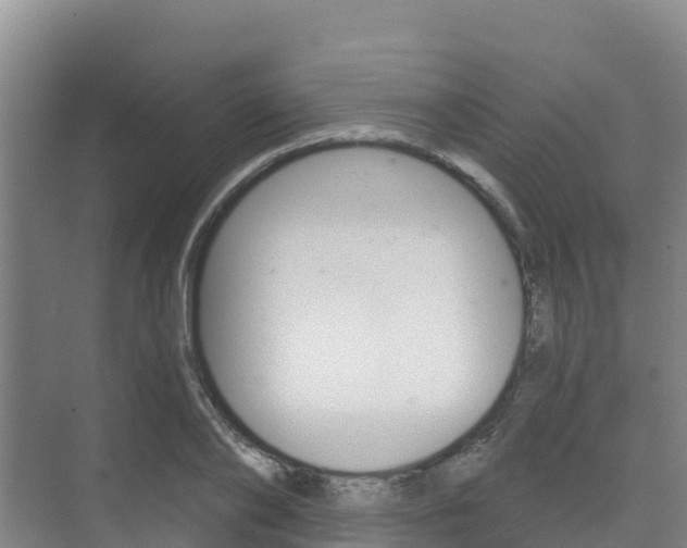 X0000073710886200608031037