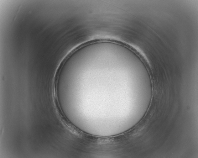 X0000073710887200608031037