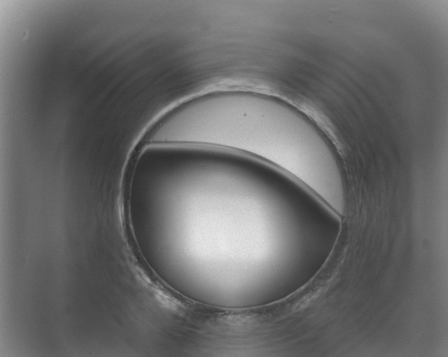 X0000073710888200608031037