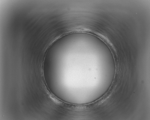 X0000073710889200608031037