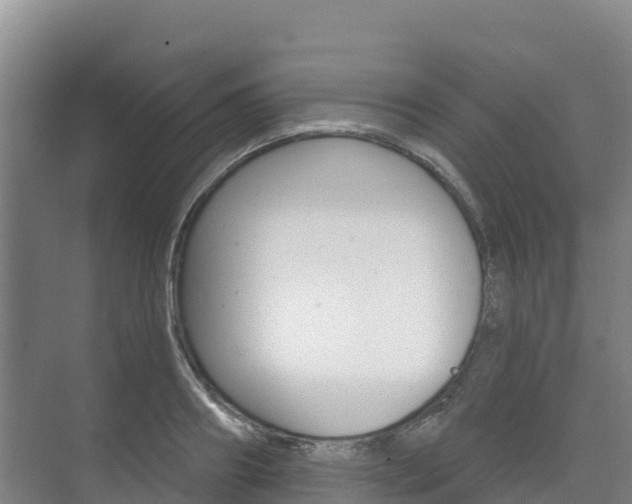 X0000073710890200608031037