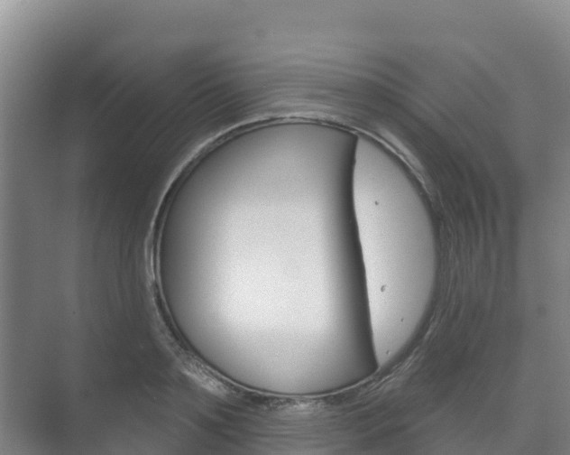 X0000073710891200608031037