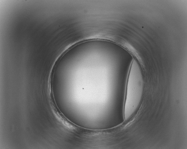 X0000073710892200608031037