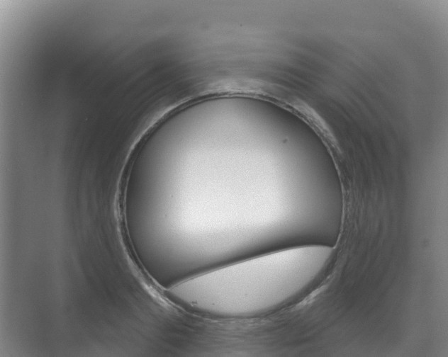 X0000073710893200608031037