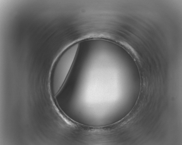 X0000073710894200608031037