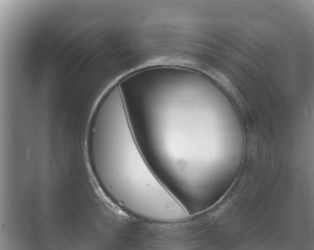 X0000073710896200608031037