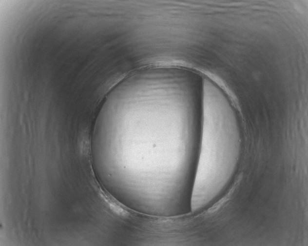 X0000073710897200608031037