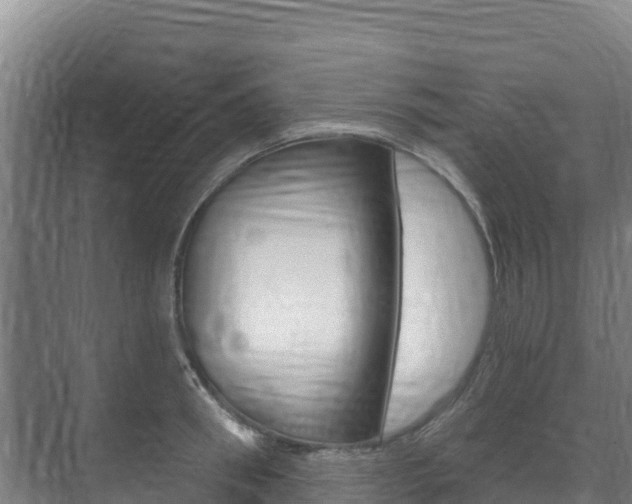 X0000073710898200608031037