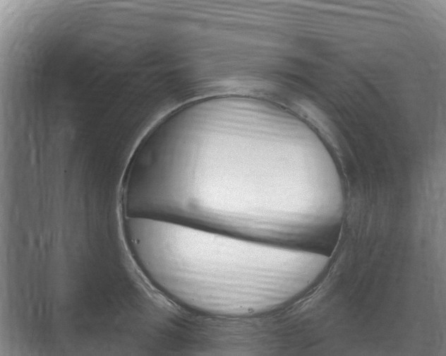 X0000073710899200608031037