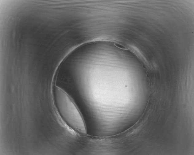 X0000073710900200608031037