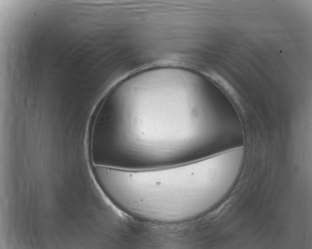 X0000073710902200608031037