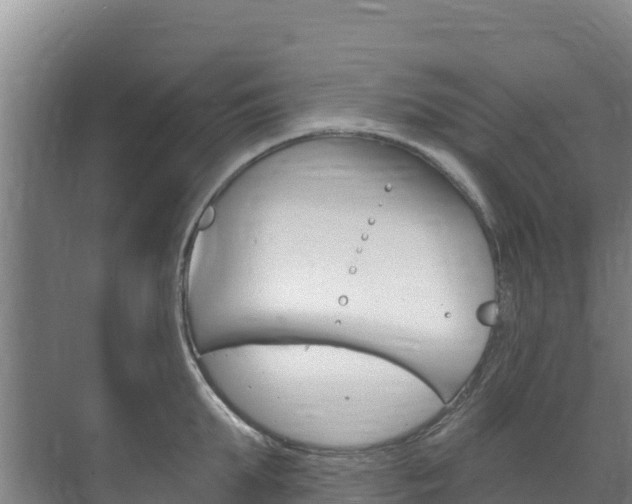 X0000073710903200608031037